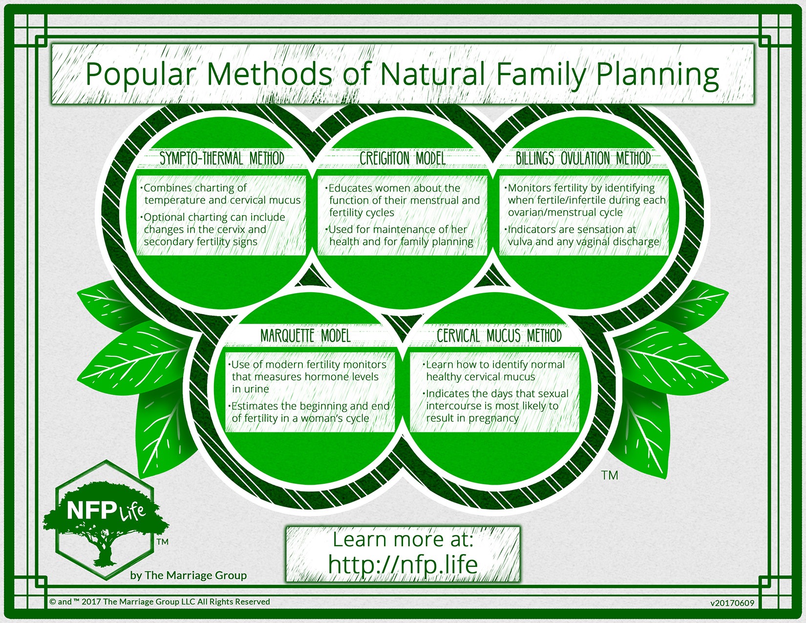 Natural Family Planning (NFP) Methods